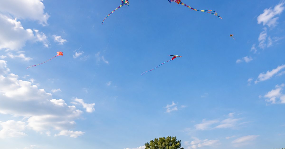 This Weekend in Loudoun: Kites Take Over Ida Lee Park in Leesburg